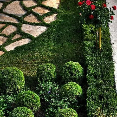Paradis بيت ضيافة 4*