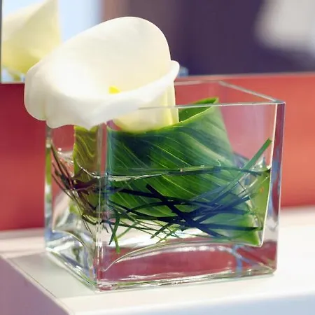 파라디스 4* Štikovica